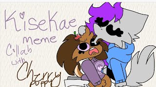 Kisekae meme//COLLAB with cherry puppy