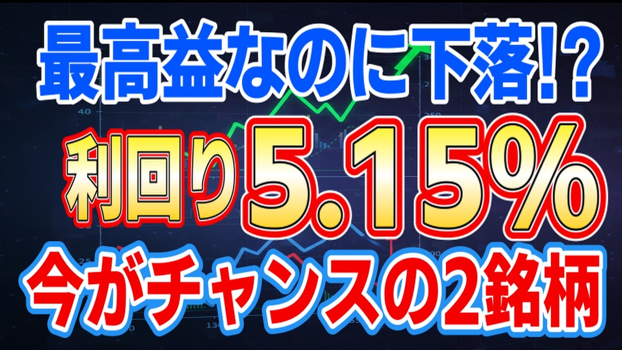【利回り5.15％】最高益で暴落。100株で仕込む「お宝優待株」2選。