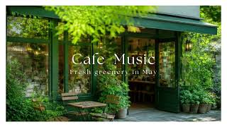 Fresh Greenery in May 🌿 Bright Morning Cafe BGM to Study, Work & Relax | Cafe Moodboard