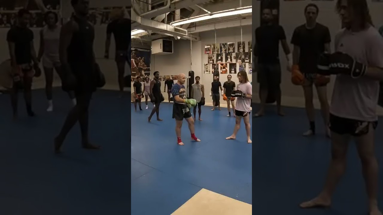 How to trick your opponent with the switch feint #muaythai #mma