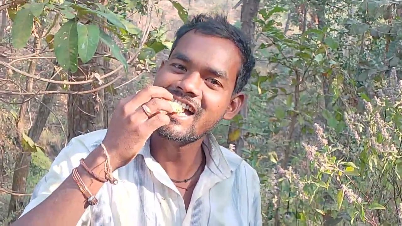 रश शहद 🌿🌲🌲🌲🐝🐝🐝जंगल मे मिलता हे