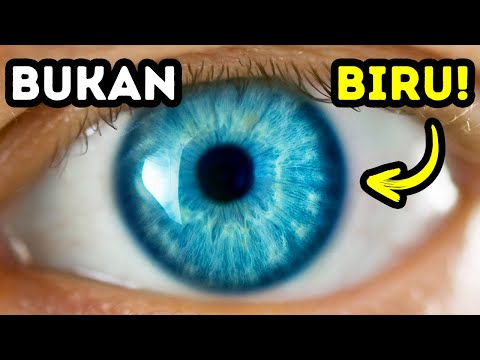 Video: Apakah kemungkinan mempunyai mata biru?