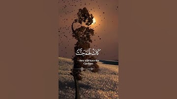 قران كريم بصوت جميل # #قران_كريم #اكسبلور #راحة_نفسية #المصحف #quran #لايك #قرآن