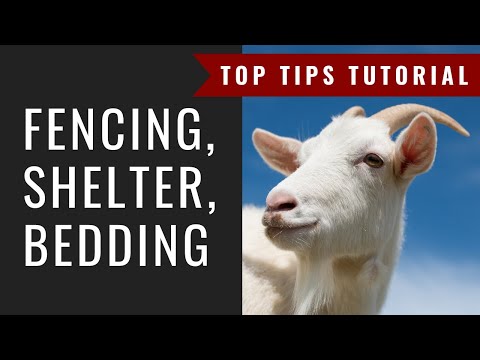 Goat Fencing, Shelter and Bedding: Top Tips! Day 1: Prepare for Goats 5-Day Challenge