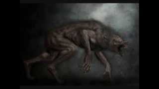 Difference between the Werewolf and Lycan.