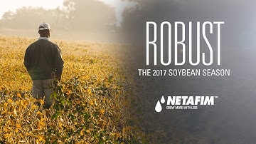 More Potential, More Profit with Drip Irrigated Soybeans