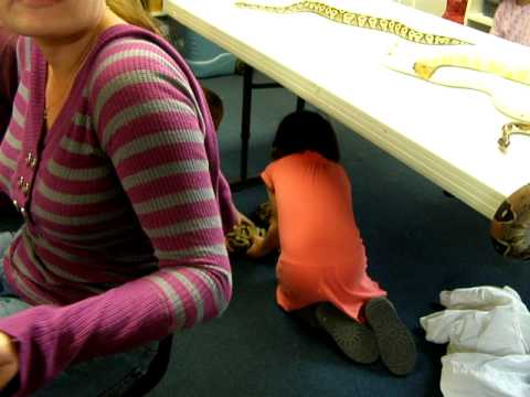 rat snakes in alabama Brian Gundy At Children's House Montissori School In San Mateo Ca.