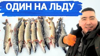 видео: ОДИН НА ЛЬДУ! УСТАЛ ОТ ТАКОГО КЛЁВА! ЩУКА СОШЛА С УМА! картинка: ОДИН НА ЛЬДУ! УСТАЛ ОТ ТАКОГО КЛЁВА! ЩУКА СОШЛА С УМА!