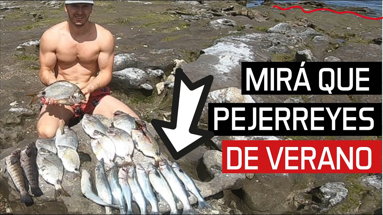 EXCELENTE Pesca con linea económica. Este lugar siempre rinde. #pesca #fishing #surfcast