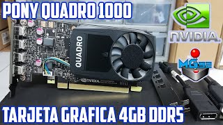 Tarjeta Grafica Pony Quadro P1000 | 4GB GDDR5 4K | Unboxing En Español