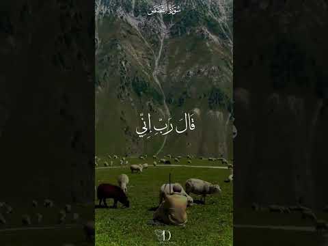  قال رب إني ظلمت نفسي فاغفر لي فغفر له إنه هو الغفور الرحيم