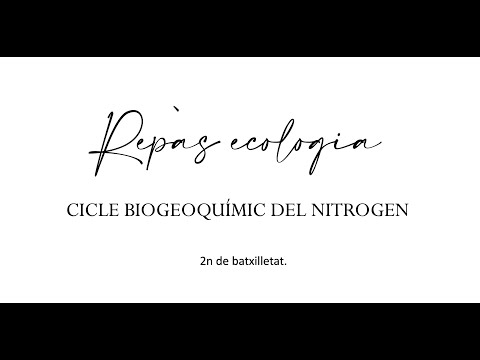 Cicle biogeoquímic del nitrogen