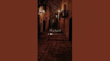 #قران_كريم #فارس_عباد #سورة_الكهف
