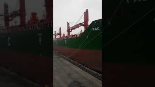 Baru Buka Bungkus Kapalnya Langsung Sandar Di Pelabuhan Tanjung Priok