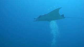 Golden Passage &amp; Crystal Rock  (parc national de Komodo)