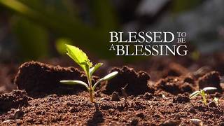 Blessing Babylon