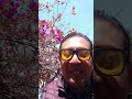 🚀 Bienvenidos al Canal de Networking Empresarial Estratégico