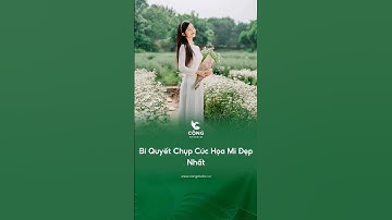 Bí quyết chụp ảnh áo dài cùng cúc họa mi đẹp nhất #cộngstudio #chupanhaodai #cuchoami