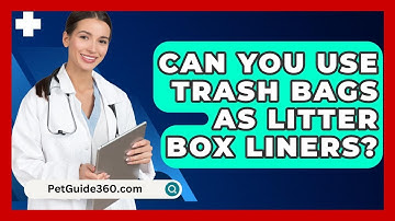 Can You Use Trash Bags As Litter Box Liners? - PetGuide360.com