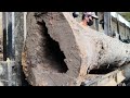 Trapped wooden hole! The apparition of terrifying hollow wood at sawmill