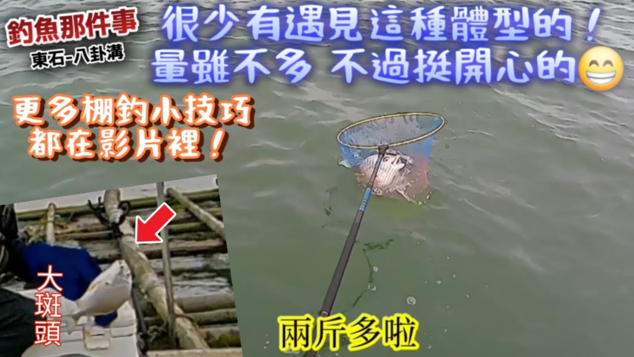 體型很優的版頭／究竟外海黑鯛進來了沒.. #黑鯛 #斑頭 #黑牛 #金里淇 #魂手作 