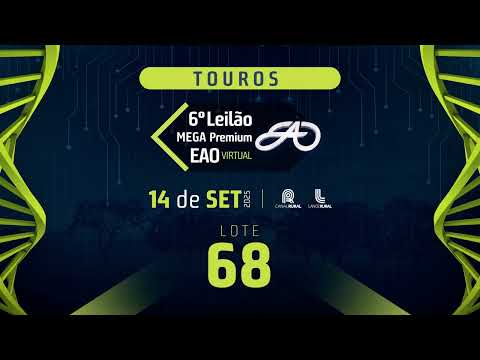 LOTE 68