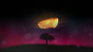 Download Lagu DJ Lava - Years Fly II Musik Refleksi Jiwa Yang Sedih MP3