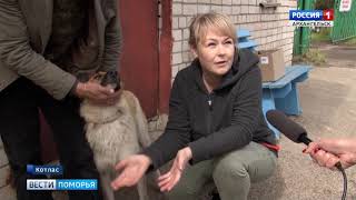 Котласский центр «Право на жизнь» получил из фонда президентских грантов около двух миллионов рублей Котласский центр «Право на жизнь» получил из фонда президентских грантов около двух миллионов рублей