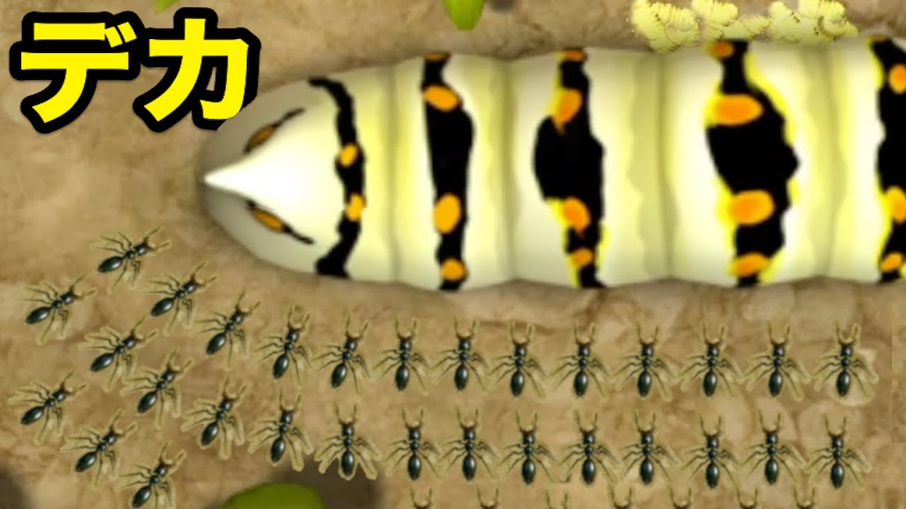 A gigantic caterpillar blocks an ant colony, leading to the