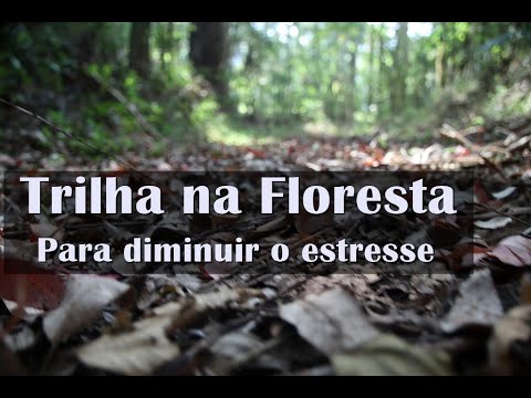 Vídeo: Como Se Preparar Para Uma Caminhada Na Floresta