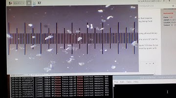 Microscope z axis 28BYJ-48 stepper motor key control (4.4µm halfsteps)