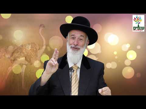 פרשת ראה - הרב יונה מצגר HD - חידוש אדיר!