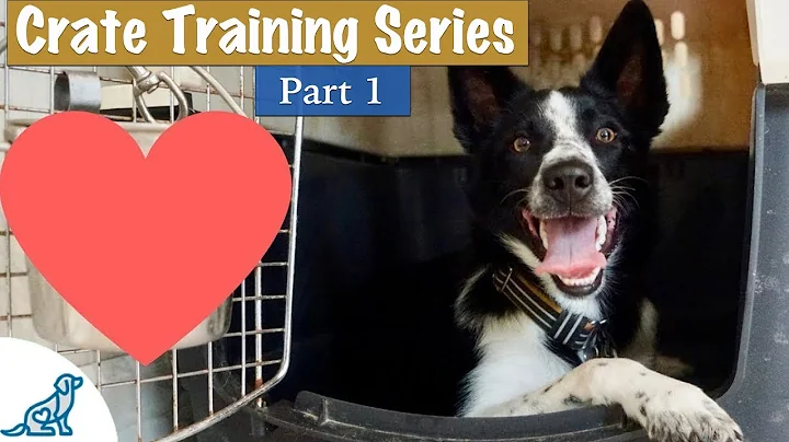 Crate Training Your Puppy DOESN'T Have To Be Stres...