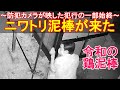 ニワトリ&家畜泥棒が来た~鶏の窃盗事件が発生、防犯カメラが映したドロボウ犯人の一部始終~
