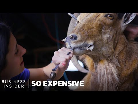 Video: Má texas kudu?
