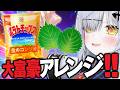 【中国4000年】大富豪流「ポテチの食べ方」は本当にうまいのか調査【VTuber / 猫元パト】