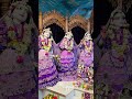 Today’s Darshan of Sri Sri Radhamadhava