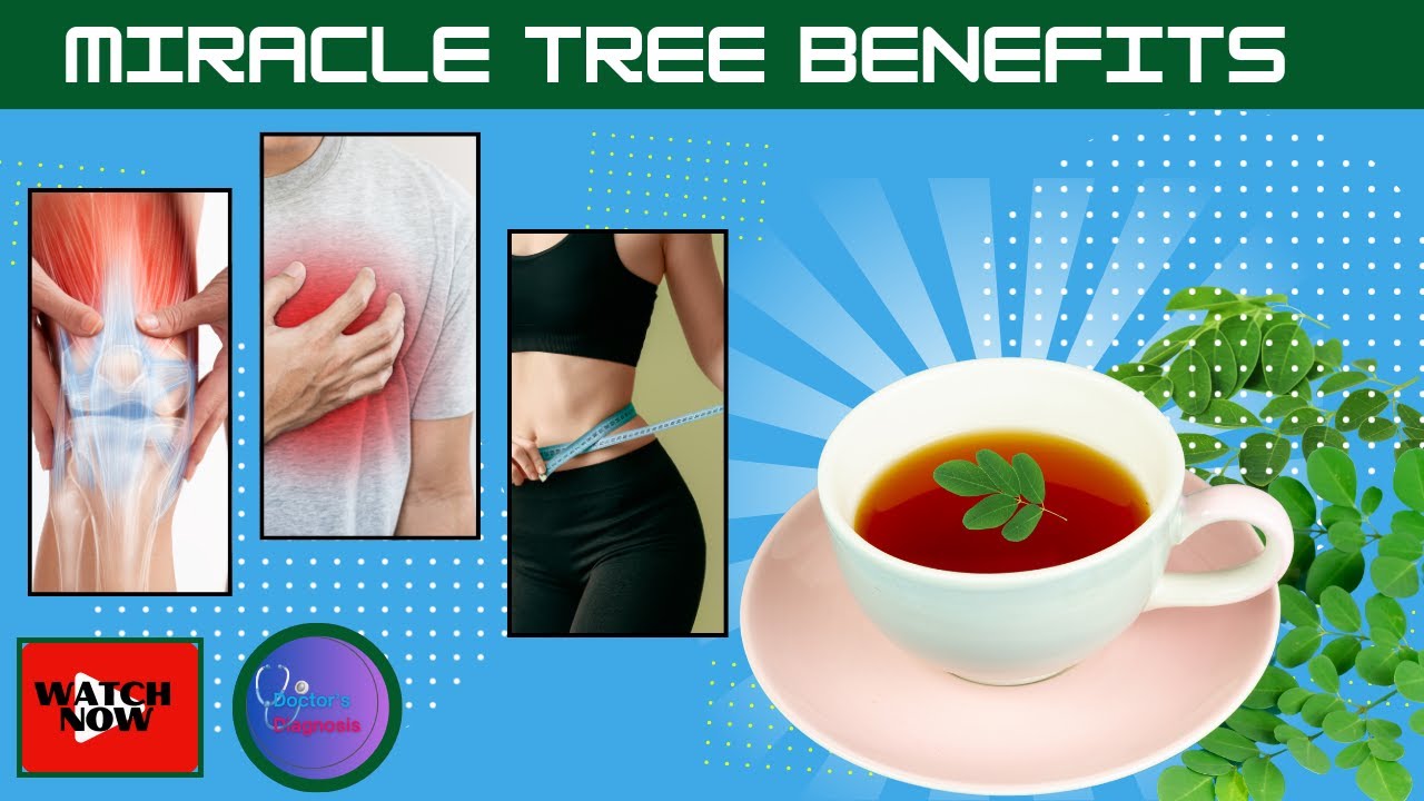 Moringa Magic: How This Superfood Can Transform Your Health