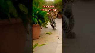 ثلاثة يحبهم الله ويضحك لهم ويستبشر بهم