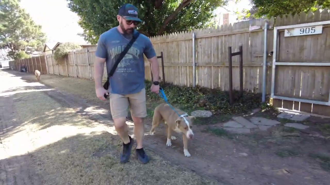 02 BayMax practices heel