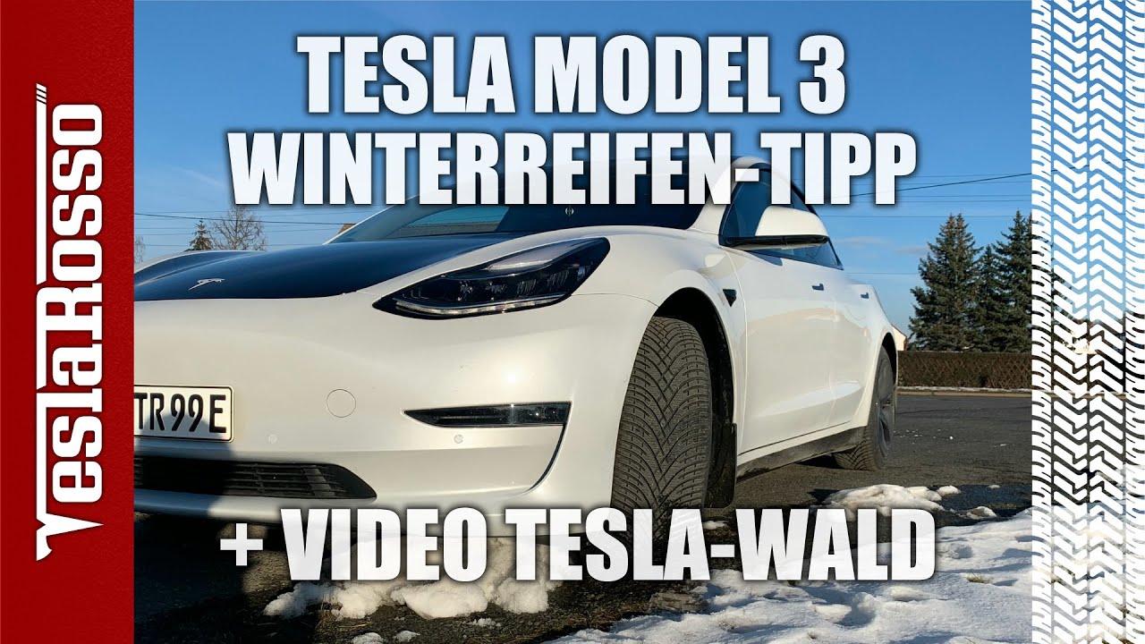 Winterreifen Tesla Model 3 Empfehlung + Bäume pflanzen mit Tesla 