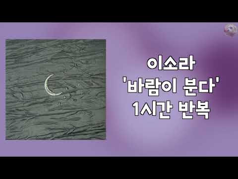 이소라 바람이 분다 1시간 반복 교차 재생