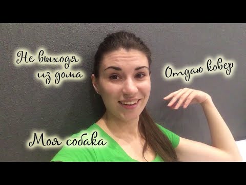 Жизнь на карантине/Покупки из Леруа/Про мою собаку