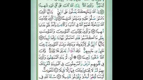 سورة الأحزاب الآية 55 تلاوة الشيخ أيمن سويد #قليل_دائم_خير​​