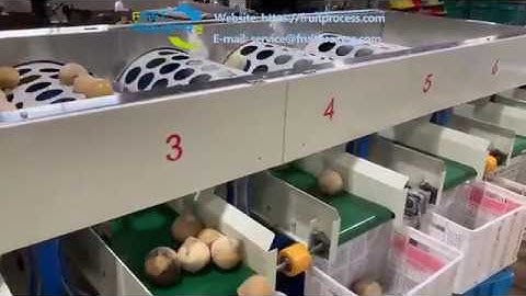 coconut grading machine, coconut sorting machine