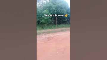 Walking Along Shimba Hills Be Aware Of The Man Eater Animal Lion In Loose Please Subscribe 