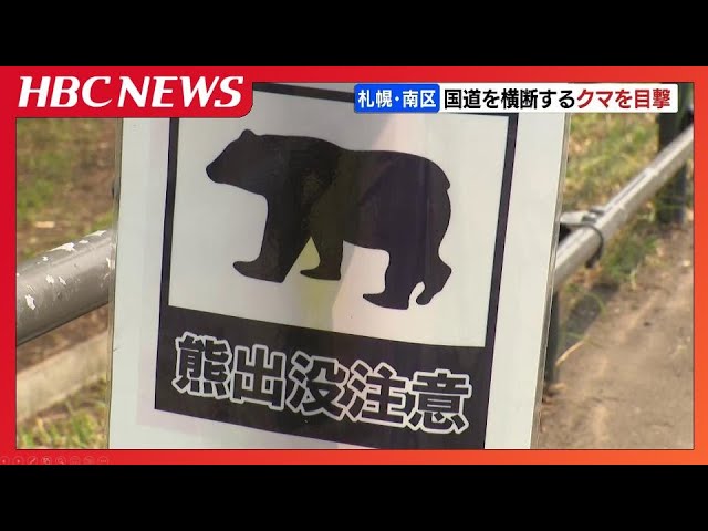 クマ出没】札幌市南区で国道を横断するクマ ドライバーが目撃し警察に