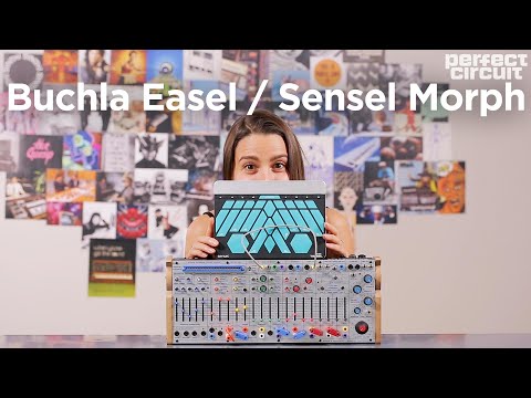 Buchla Easel Command + Sensel Morph Controller (Free Ableton Instrument Download)