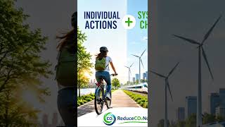 Why Individual Actions Matter, But Aren’t Sufficient Alone