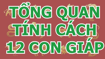 Tổng Quan Tính Cách Của 12 Con Giáp | Phong Thủy Hoàng Đạo